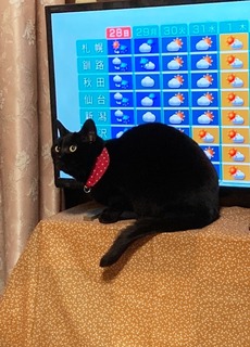 IMG_20210327_201335.jpg