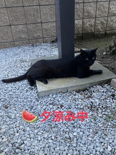 S__74326020.jpg
