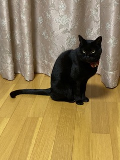 S__79355912.jpg